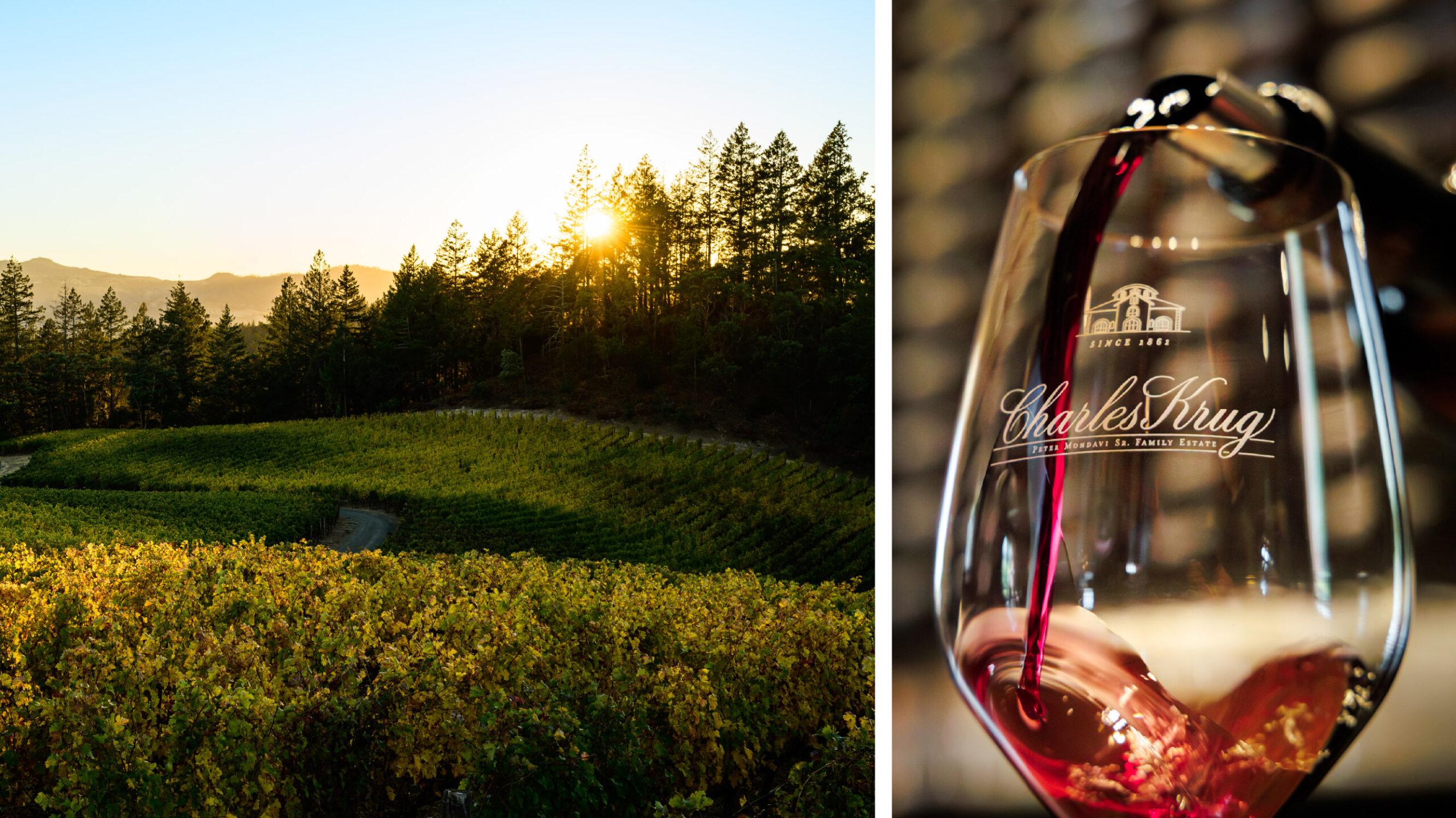 Taste of Howell Mountain